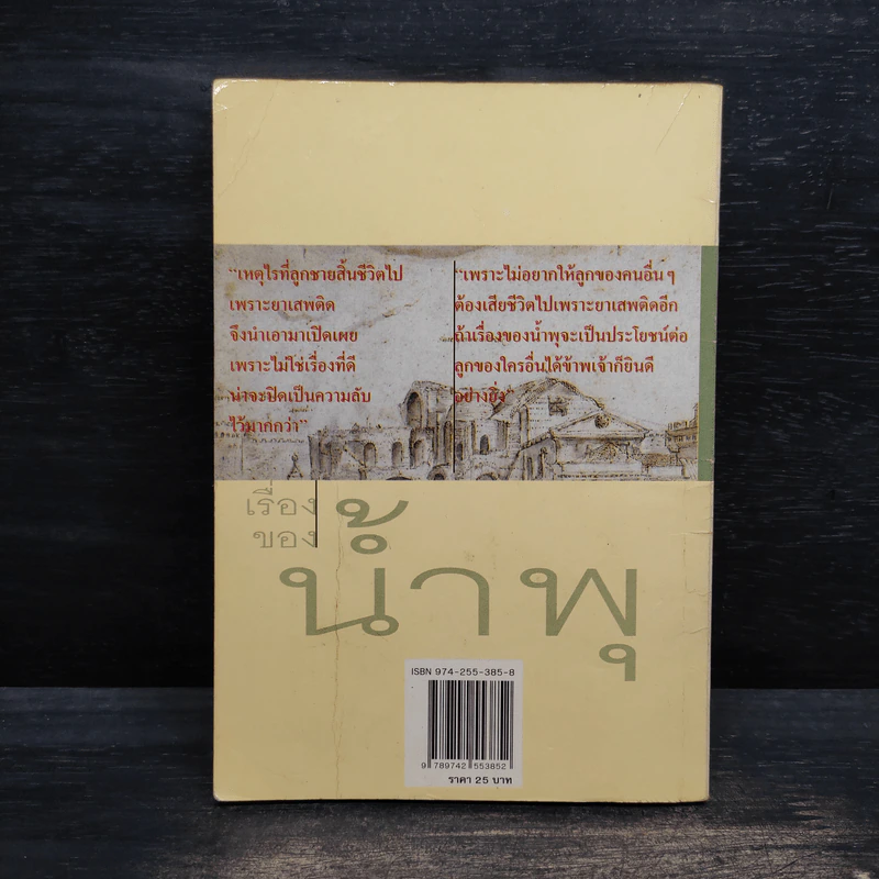 เรื่องของน้ำพุ - วงศ์เมือง นันทขว้าง รูปที่ 2