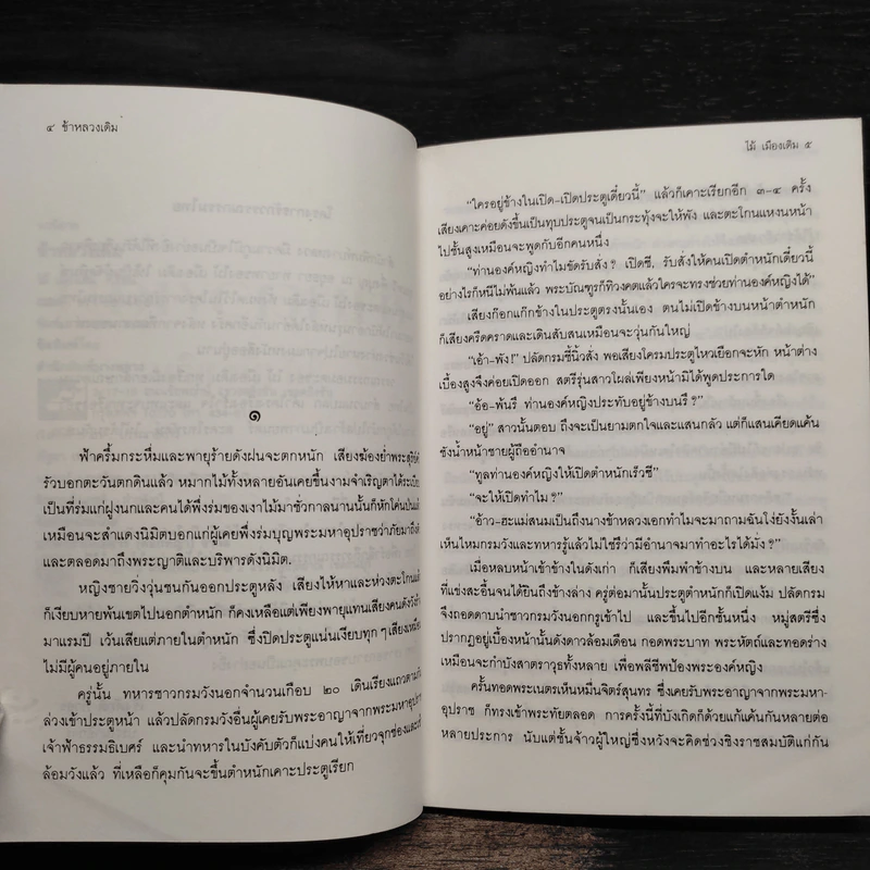 ข้าหลวงเดิม - ไม้ เมืองเดิม รูปที่ 6