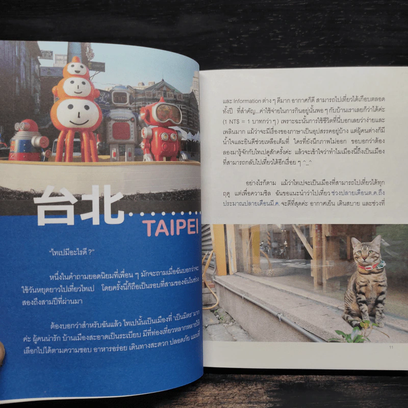 Taipei in Love ไทเป อิน เลิฟ - สู่ขวัญ อรรถจารุสิทธิ์ รูปที่ 6