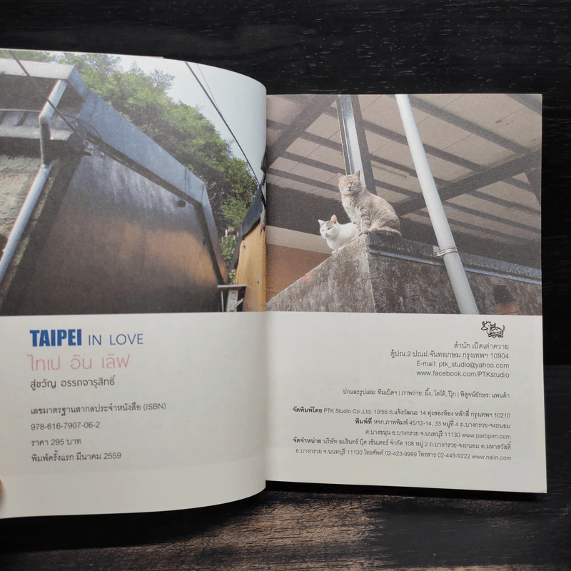 Taipei in Love ไทเป อิน เลิฟ - สู่ขวัญ อรรถจารุสิทธิ์ รูปที่ 5