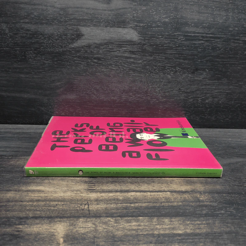 The Perks of Being a Wallflower จดหมายรักจากนายไม้ประดับ - Stephen Chbosky (สตีเฟน ชบอสกี) รูปที่ 3