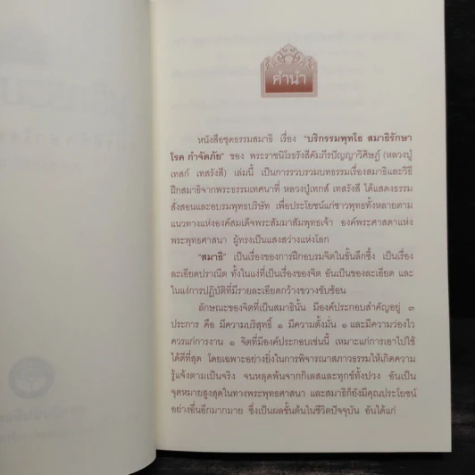 บริกรรมพุทโธ สมาธิรักษาโรค ขจัดภัย - หลวงปู่เทสก์ เทสรังสี รูปที่ 5
