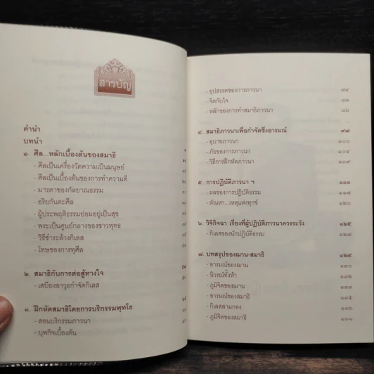 บริกรรมพุทโธ สมาธิรักษาโรค ขจัดภัย - หลวงปู่เทสก์ เทสรังสี รูปที่ 6