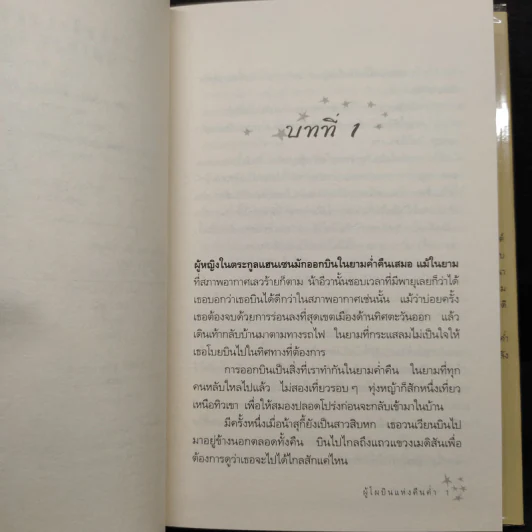 ผู้โผบินแห่งคืนค่ำ Night Flying - Rita Murphy รูปที่ 6