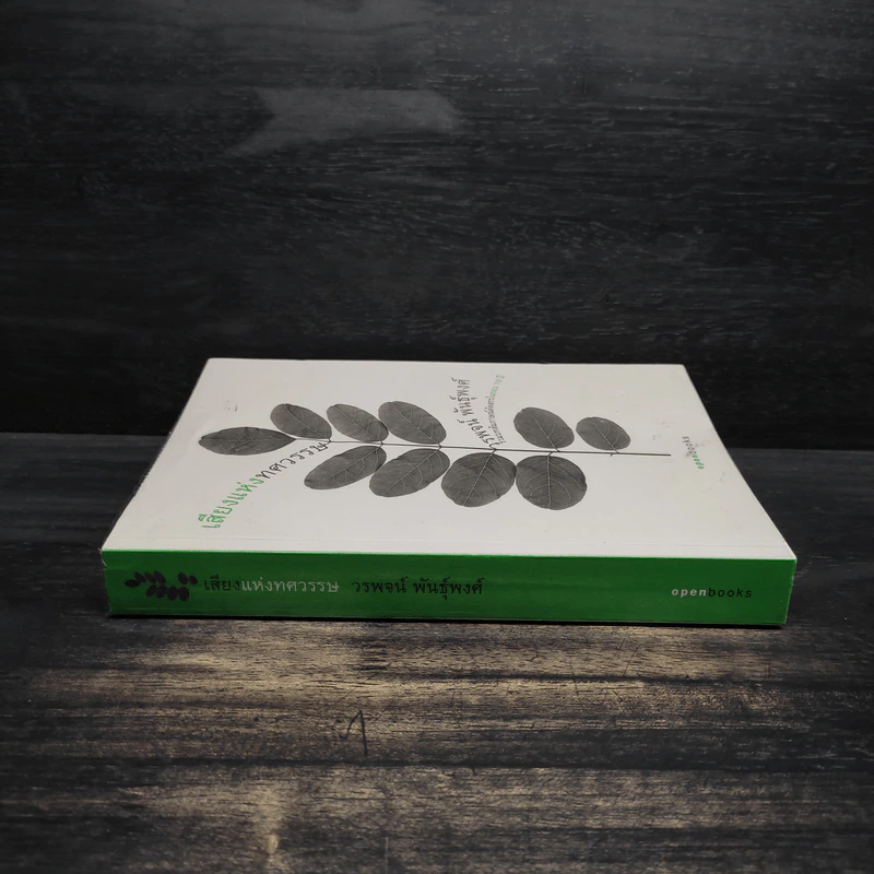 เสียงแห่งทศวรรษ - วรพจน์ พันธุ์พงศ์ รูปที่ 3