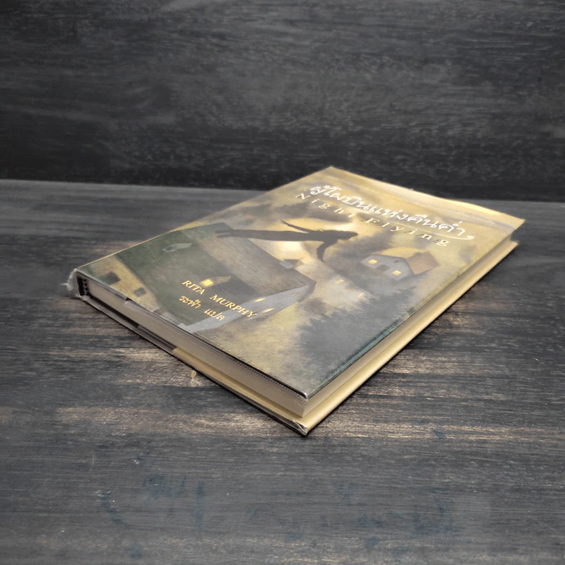 ผู้โผบินแห่งคืนค่ำ Night Flying - Rita Murphy รูปที่ 4