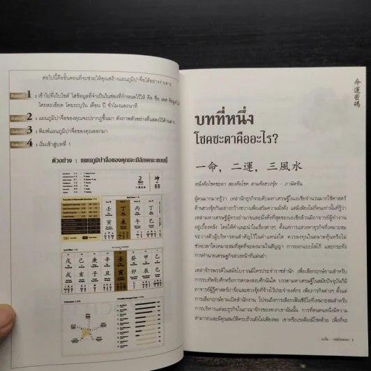 ปาจื่อ รหัสแห่งโชคชะตา - โจอี ยับ (JOEY YAP) รูปที่ 7