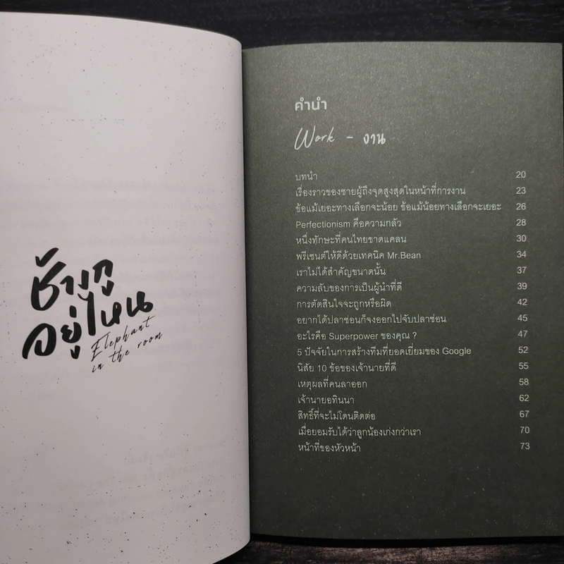 Elephant in the Room ช้างกูอยู่ไหน - อานนทวงศ์ มฤคพิทักษ์ รูปที่ 5