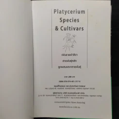 เฟินชายผ้าสีดา Platycerium Species & Cultivars รูปที่ 5