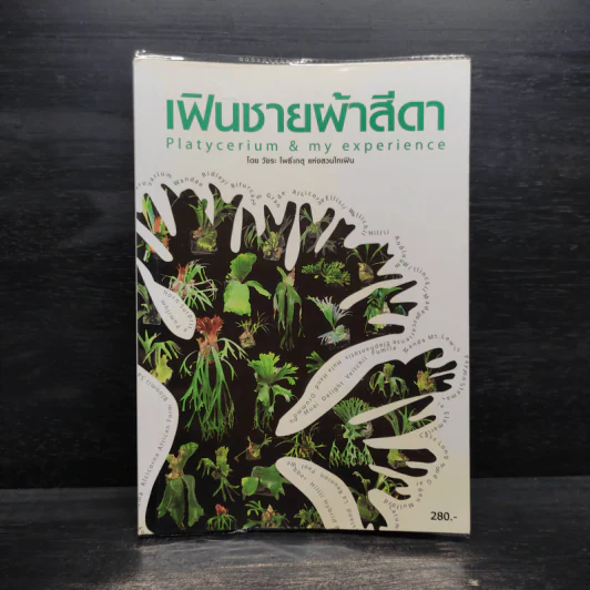 เฟินชายผ้าสีดา Platycerium Species & Cultivars รูปที่ 1