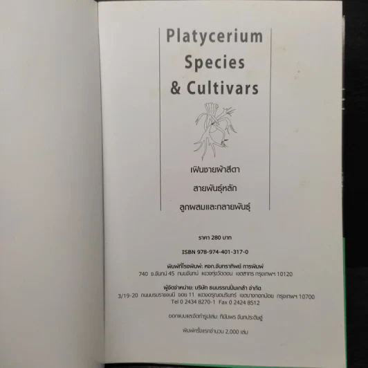 เฟินชายผ้าสีดา Platycerium Species & Cultivars รูปที่ 5