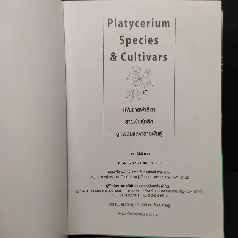 เฟินชายผ้าสีดา Platycerium Species & Cultivars รูปที่ 5