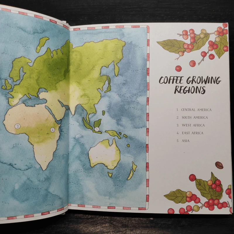 Liquid Education: Coffee: From Bean to The Perfect Brew รูปที่ 7