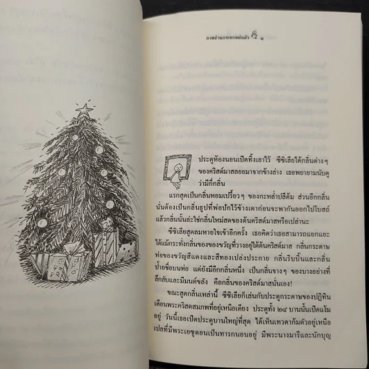 ภาพผ่านกระจกหม่นมัว - โยสไตน์ กอร์เดอร์ รูปที่ 6
