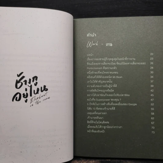 Elephant in the Room ช้างกูอยู่ไหน - อานนทวงศ์ มฤคพิทักษ์ รูปที่ 5