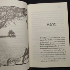 ลางมายา - ชลนิล รูปที่ 7