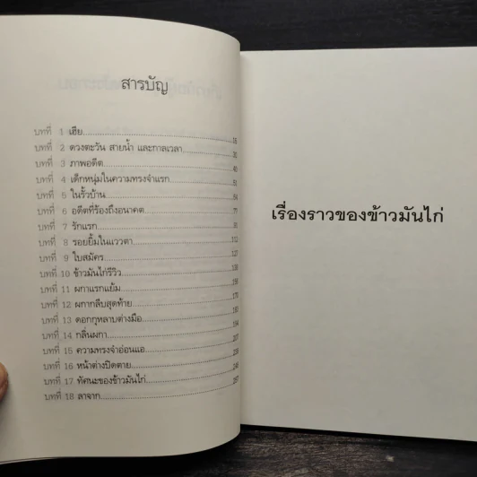 เรื่องราวของข้าวมันไก่ - วาสึเทพ เกตุเพ็ชร รูปที่ 6
