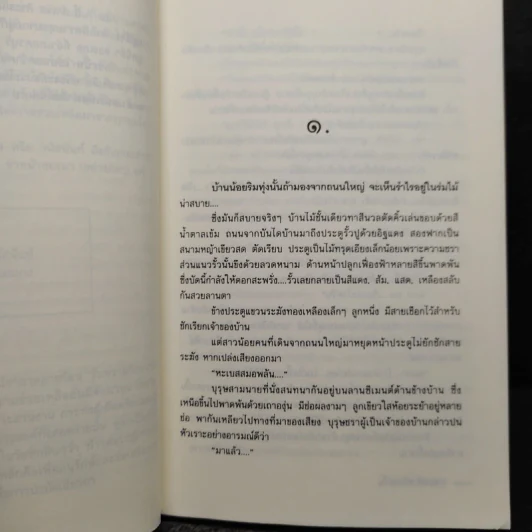 ขอบฟ้าหรือจะกั้น - สาเรส ศิระมนัส รูปที่ 6