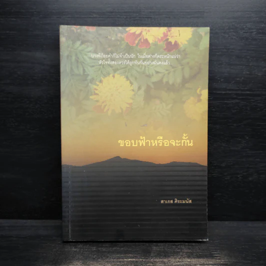 ขอบฟ้าหรือจะกั้น - สาเรส ศิระมนัส รูปที่ 1