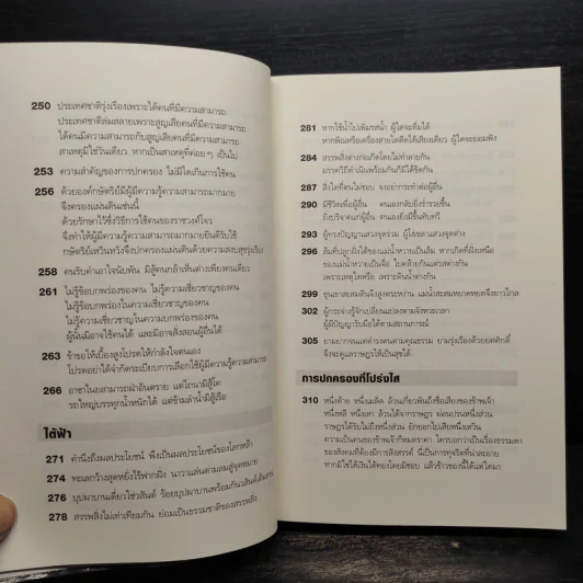 เพลงกระบี่ สีจิ้นผิง - People รูปที่ 10