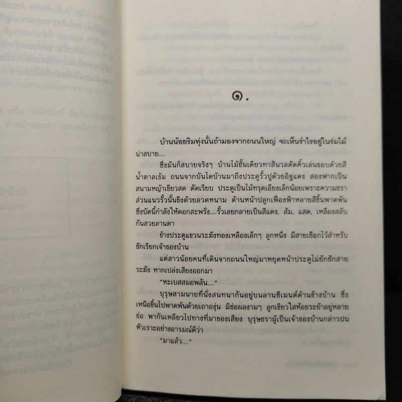 ขอบฟ้าหรือจะกั้น - สาเรส ศิระมนัส รูปที่ 6