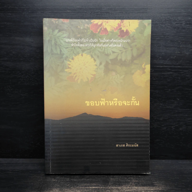 ขอบฟ้าหรือจะกั้น - สาเรส ศิระมนัส รูปที่ 1