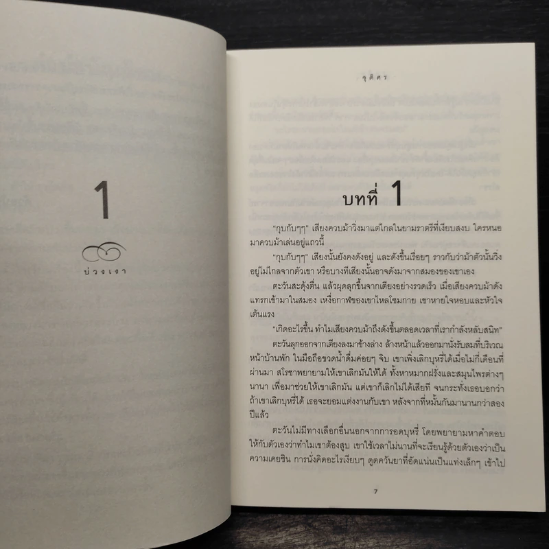 บ่วงเงา - จุติศร รูปที่ 6