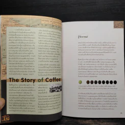 Cafe' Culfure เรื่องของคนรักกาแฟ รูปที่ 6