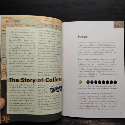 Cafe' Culfure เรื่องของคนรักกาแฟ รูปที่ 6