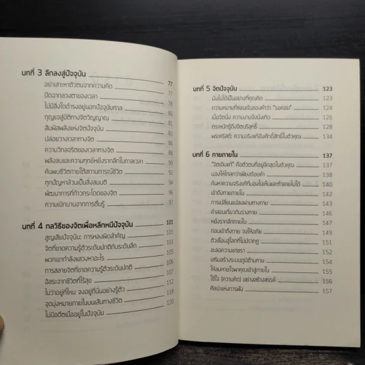 พลังแห่งจิตปัจจุบัน: ทางสู่การตื่นรู้และเยียวยา - เอ็กค์ฮาร์ท โทลเลอ รูปที่ 7