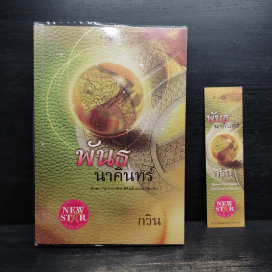 พันธนาคินทร์ - กวิน รูปที่ 1