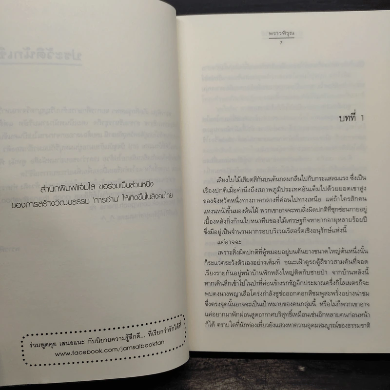 บ่วงรักปาฏิหาริย์ - พราวพิรุณ รูปที่ 6