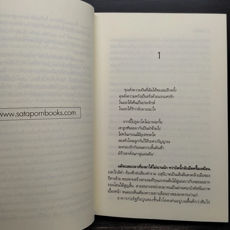 ไพรีนฤมิต - ญนันธร รูปที่ 6