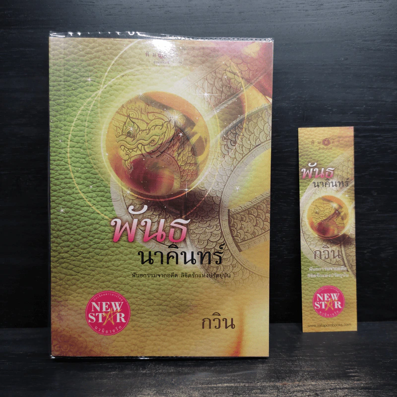 พันธนาคินทร์ - กวิน รูปที่ 1