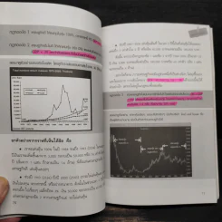 เริ่มเล่นหุ้นอย่างไรให้รวย - มนตรี แสวงเดชา รูปที่ 10