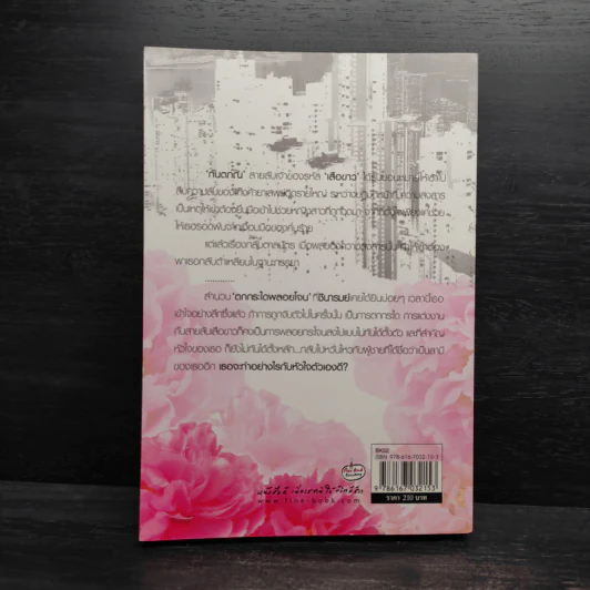 สืบรักพยัคฆ์ร้าย - เฌอ รูปที่ 2