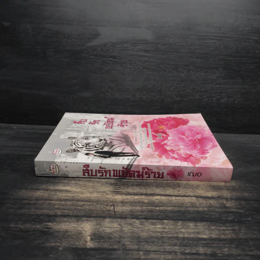 สืบรักพยัคฆ์ร้าย - เฌอ รูปที่ 3