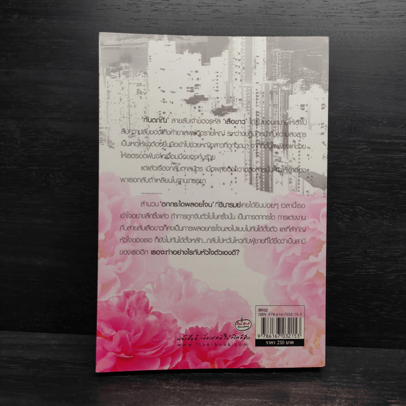 สืบรักพยัคฆ์ร้าย - เฌอ รูปที่ 2