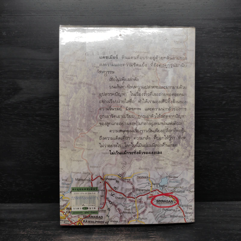 ตะลุยแคชเมียร์ - เปรมฤทัย โตเสริมกิจ รูปที่ 2