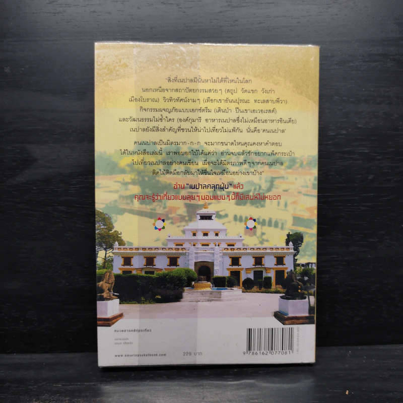 เนปาลคลุกฝุ่น - กรินทร์ กรินทสุทธิ์ รูปที่ 2