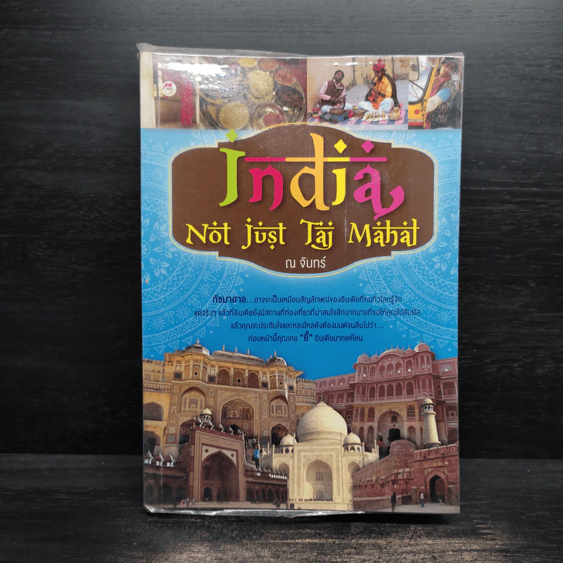 India, Not Just Taj Mahal - ณ จันทร์ รูปที่ 1