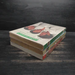 เรนโบว์บอยส์ เล่ม 1-3 - อเล็กซ์ ซานเชช รูปที่ 4