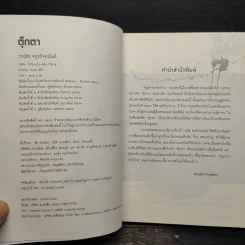 ตุ๊กตา - วาณิช จรุงกิจอนันต์ รูปที่ 5
