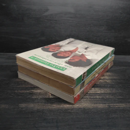 เรนโบว์บอยส์ เล่ม 1-3 - อเล็กซ์ ซานเชช รูปที่ 4