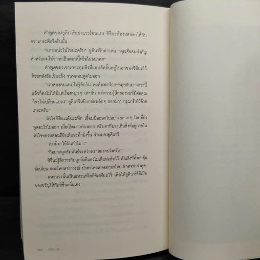 ฆาตกรรมคืนฝนดาวตก - ฮิงาชิโนะ เคโงะ (Keigo Higashino) รูปที่ 7