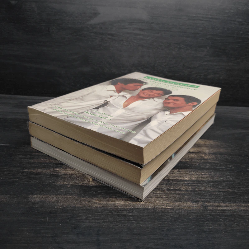 เรนโบว์บอยส์ เล่ม 1-3 - อเล็กซ์ ซานเชช รูปที่ 3