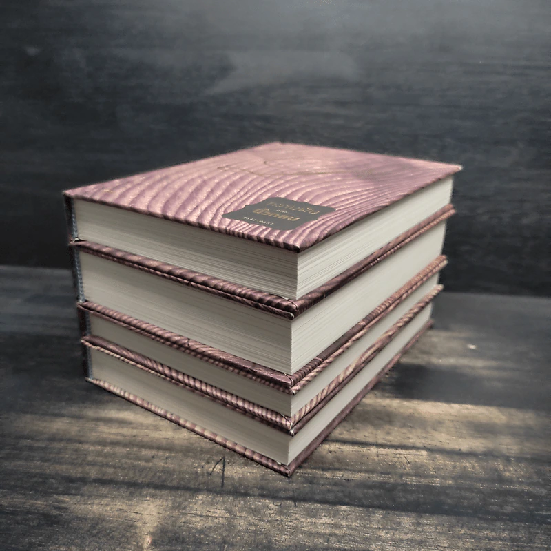 Box Set 10 Years นิ้วกลม 4 เล่ม - นิ้วกลม รูปที่ 6