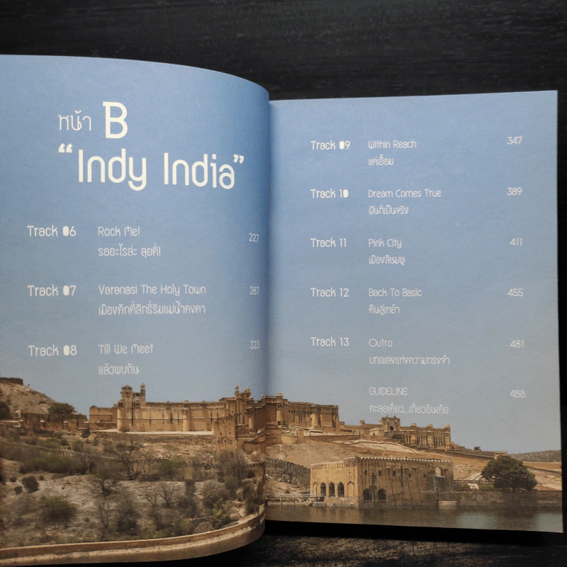 INDY INDIA สองเท้า-เกาโลก - ปองพล วาทะกุล รูปที่ 6