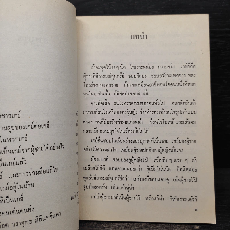 ความรู้เรื่องเกย สำหรับคนที่ไม่ใช่เกย์ รูปที่ 6