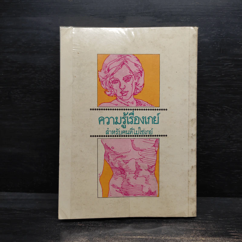 ความรู้เรื่องเกย สำหรับคนที่ไม่ใช่เกย์ รูปที่ 2